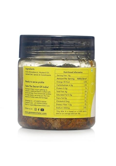 Grameen Chator Amla Pickle 100G Pack Of 1 |Homemade Indian Gooseberry Seedless Without Onion Garlic|Preservative Free|Tangy Amle Ka Achar|Natural Spices Mustard Oil