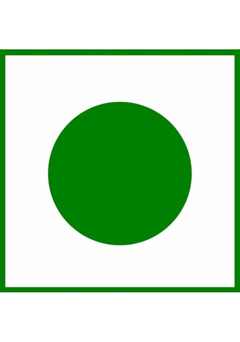 Daily Food Homemade Premium Rajasthani Red Chilli Pickle Athana Lal Mirch Ka Achar Without Oil 100 Pure And Natural 400