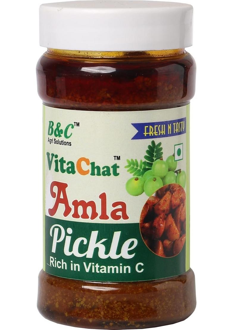 B C Agri Solutions Natural Fresh Amla Pickle 250 Gram Immunity Booster Pickles With Masala Tangy Taste No Artificial Flavours Traditional Home Made Awla Ka Achar Pack Of 1