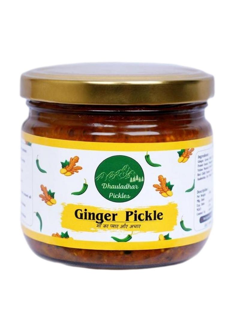 Dhauladhar Pickles 300G Homemade Traditional Ginger Pickle | 100 Vegetarian Tasty Ready To Eat No Added Preservatives And Chemical Free Jar