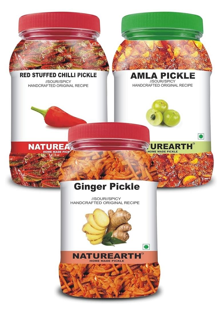 Naturearth 100 Natural Ginger Red Stuffed Chilli Amla Pickle 600 G Primium Quality Achar