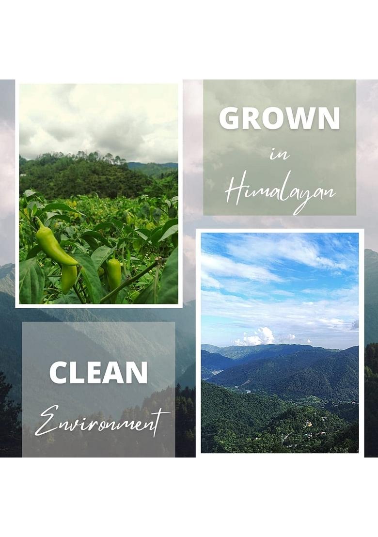 O'Ija Oija Pahadi Lemon Chutney 100 Natural Preservatives Free Handmade Nimbu