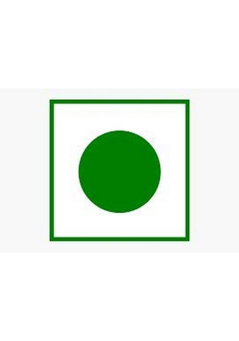 O'Ija Oija Pahadi Lemon Chutney 100 Natural Preservatives Free Handmade Nimbu