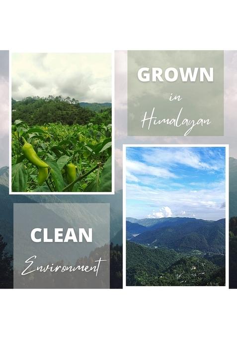 O'Ija Oija Pahadi Lemon Chutney 100 Natural Preservatives Free Handmade Nimbu