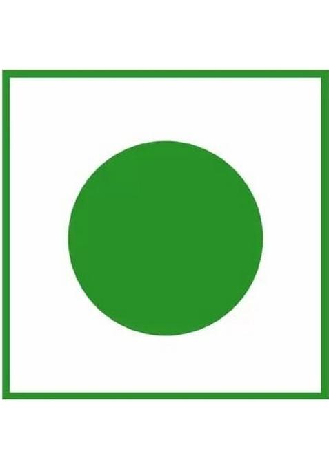 Daily Food Natural Taste Homemade Organic Tenti Dela Pickle 400Gm