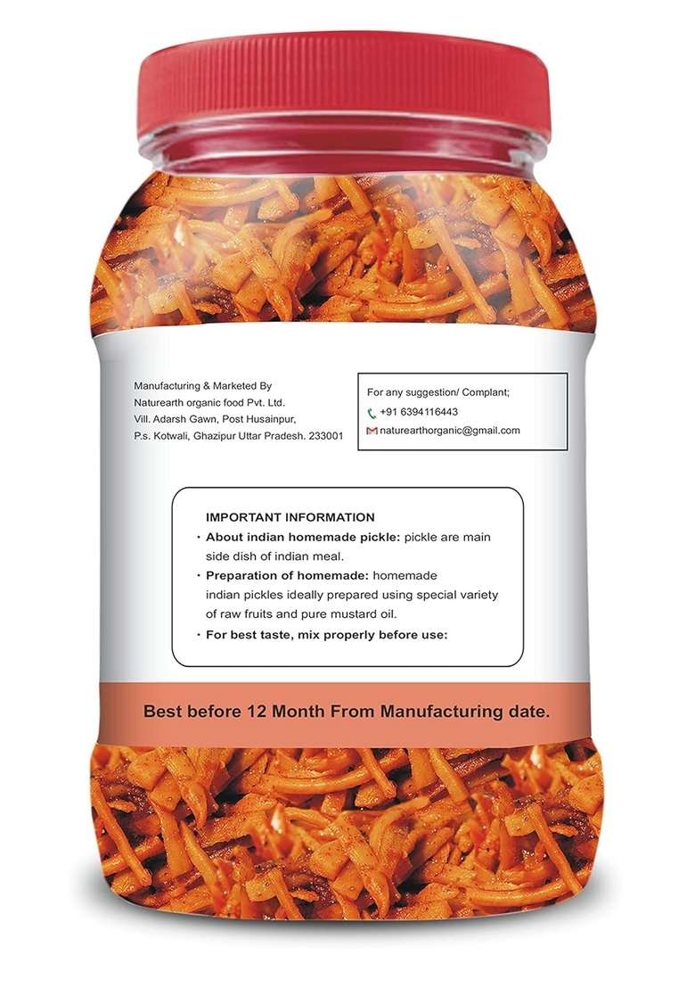 Naturearth 100 Natural Ginger Lemon Chilli Green Pickle 600 G Primium Quality Achar - Indya