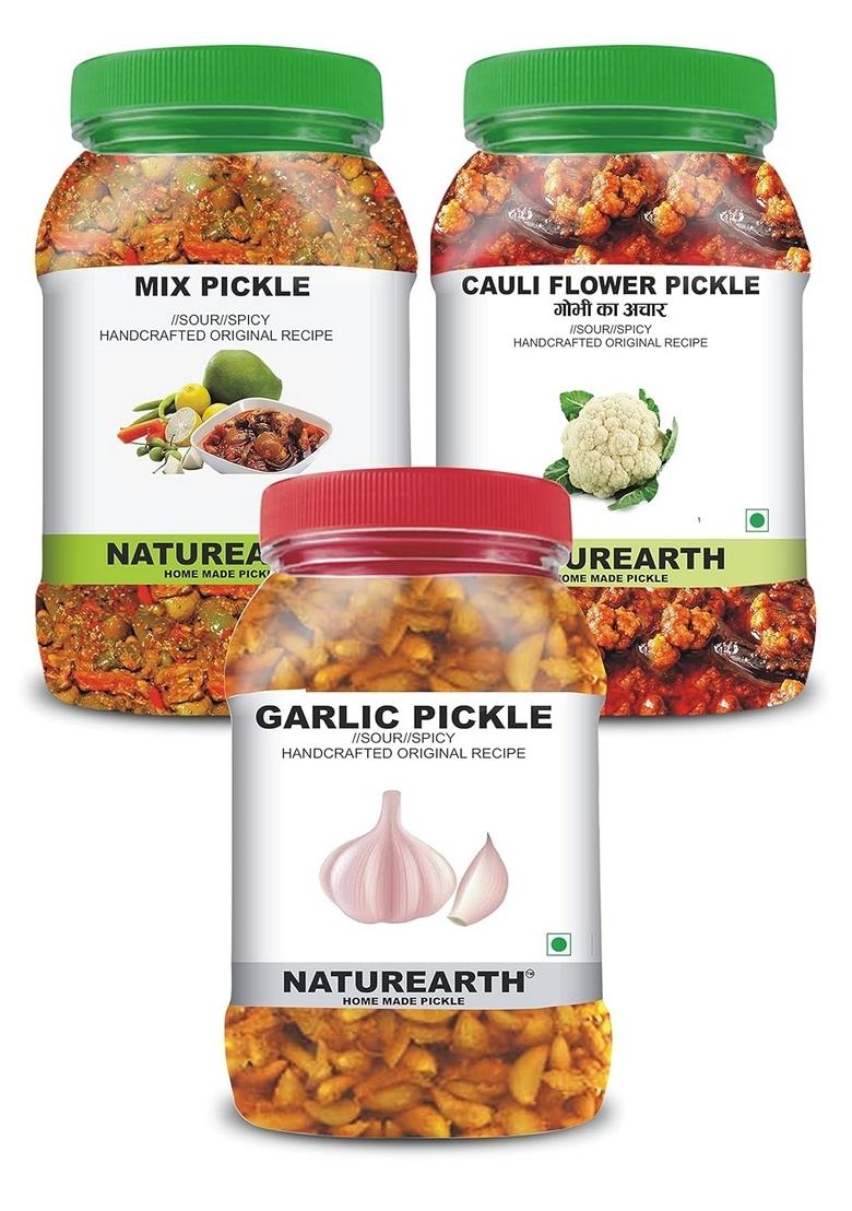 Naturearth 100 Natural Garlic Mix Gobhi Pickle 600 G Primium Quality Achar