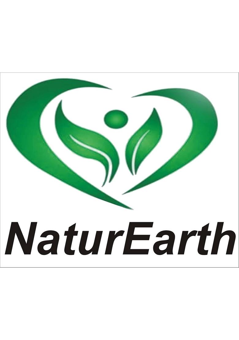 Naturearth 100 Natural Garlic Mix Gobhi Pickle 600 G Primium Quality Achar