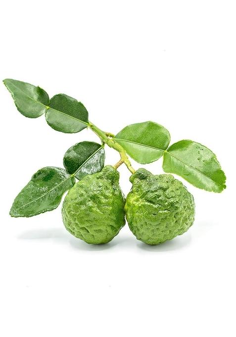 Pothigai Natural Kaffir Lime Pickle 250 G Pure Home Made With Wooden Cold Pressed Gingelly Oil No Preservatives 100 Pack Of 1