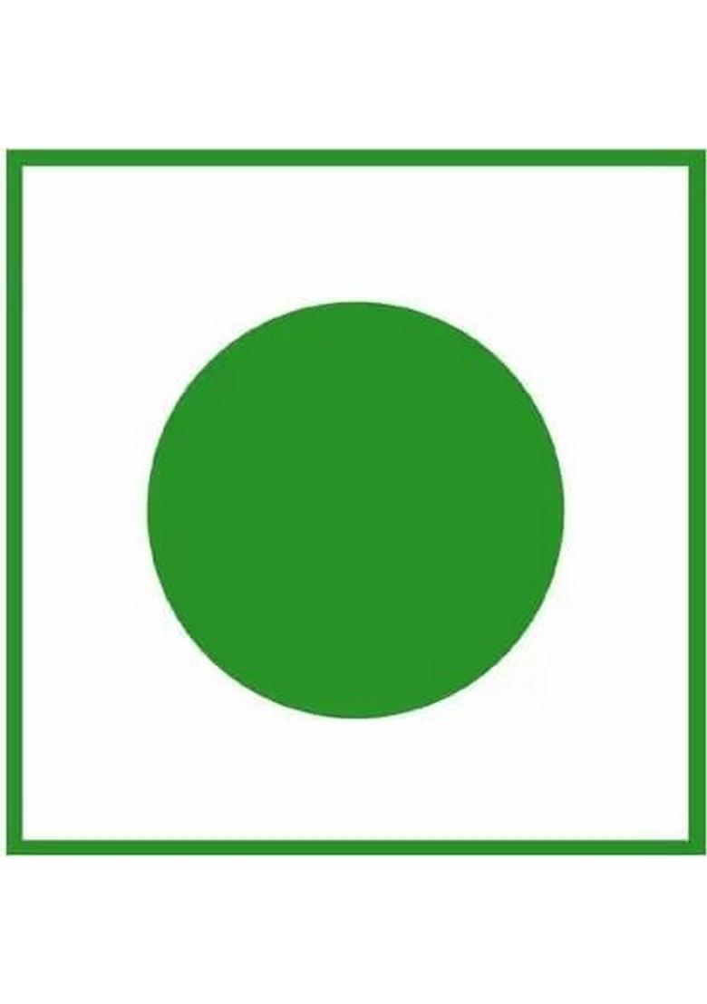 Daily Food Homemade Organic Tenti Dela Pickle