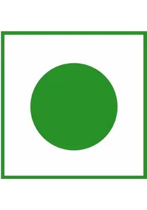 Daily Food Homemade Organic Tenti Dela Pickle