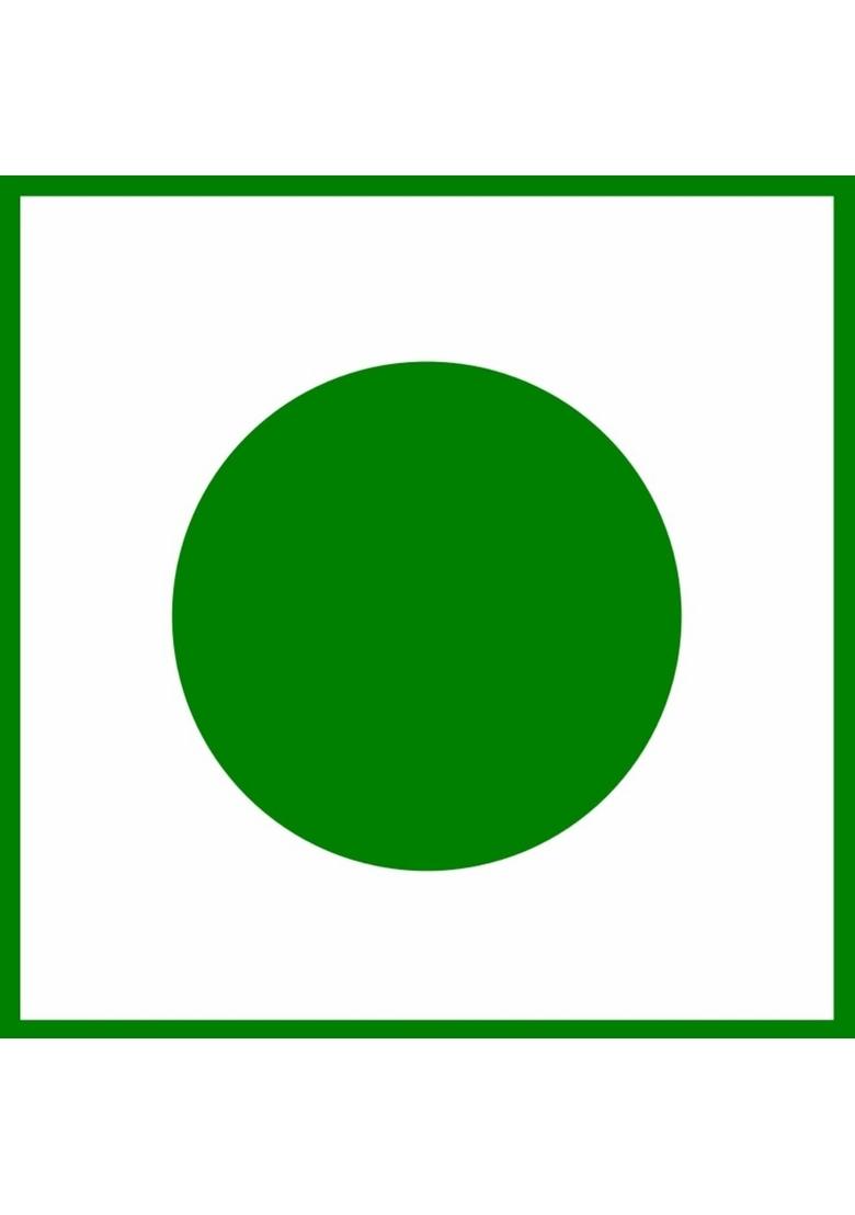 Daily Food Pure Natural Organic Dry Ginger Pickle Adrak Ka Achar 400Gm