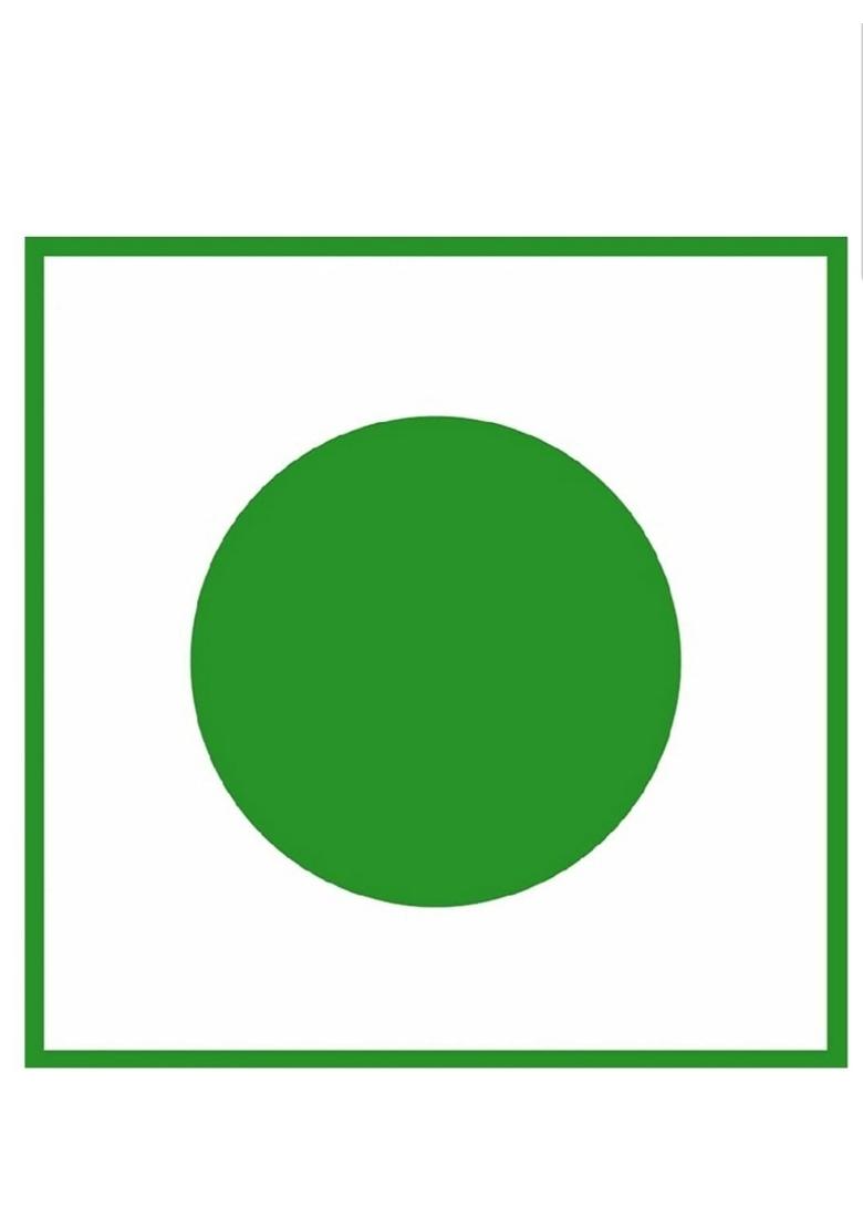 Natural Taste Homemade Organic Mix Pickle 800 Grams