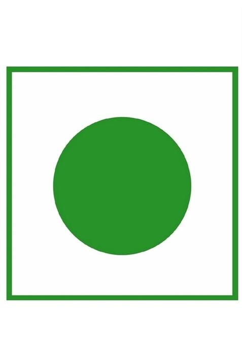 Natural Taste Homemade Organic Mix Pickle 800 Grams