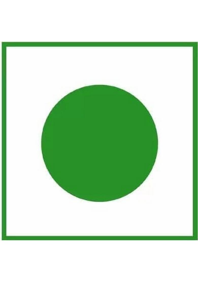 Natural Taste Homemade Organic Tenti Dela Pickle