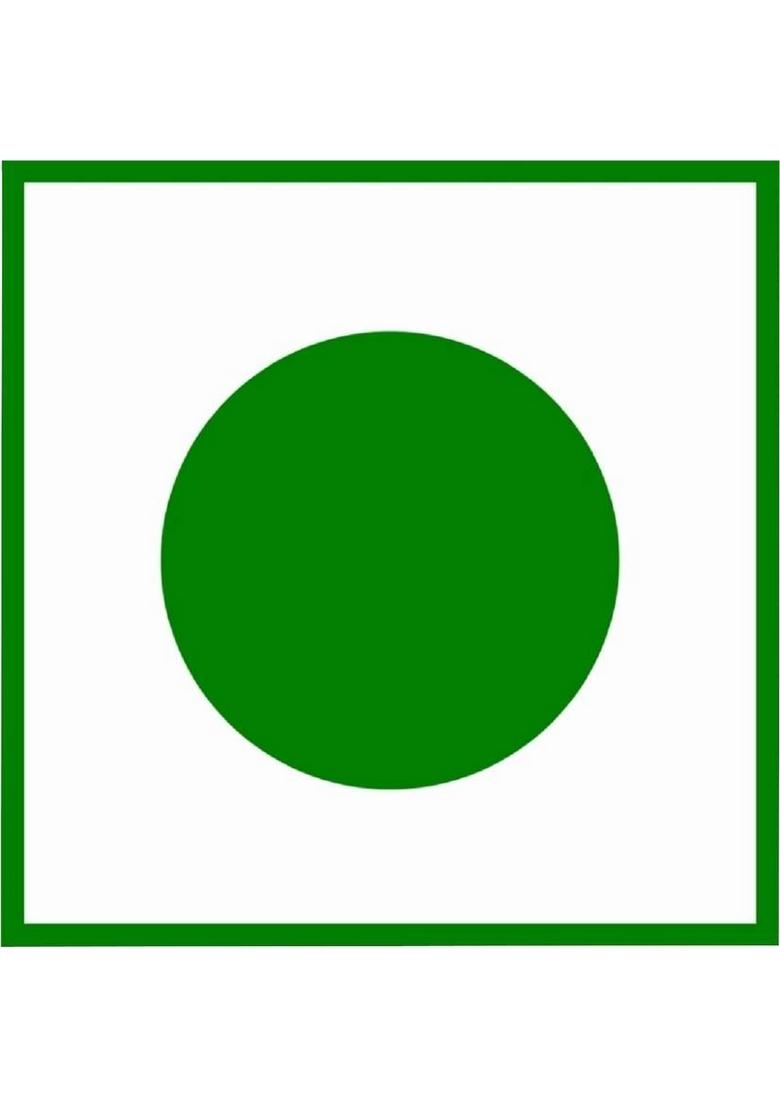 Singla'S Kesar Petha 500G Box 500 G