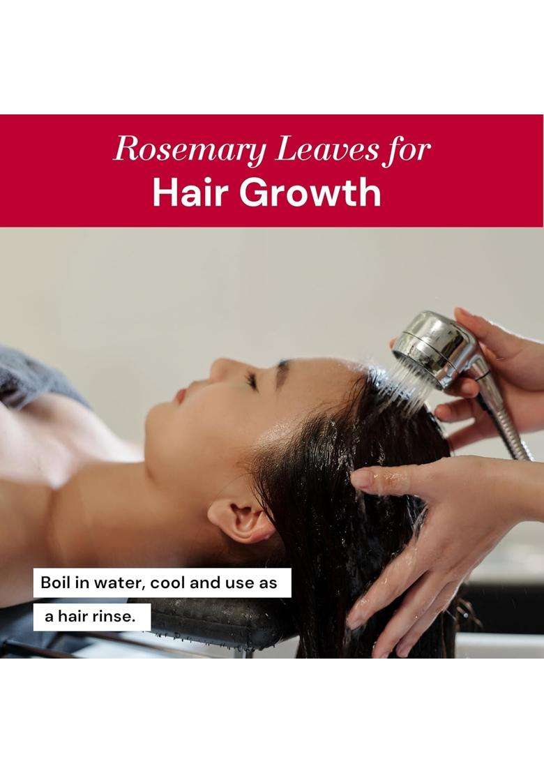 The 99 Herbs Company Premium Dried Rosemary Leaves 100 Grams Free Mist Spray | Imported For Hair Growth Skin Care Cooking Natural No Artificial Colors - Indya