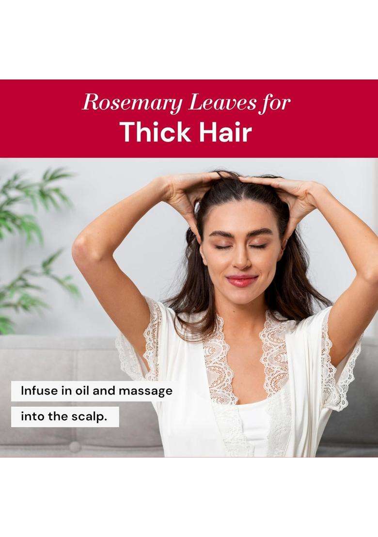 The 99 Herbs Company Premium Dried Rosemary Leaves 100 Grams Free Mist Spray | Imported For Hair Growth Skin Care Cooking Natural No Artificial Colors - Indya