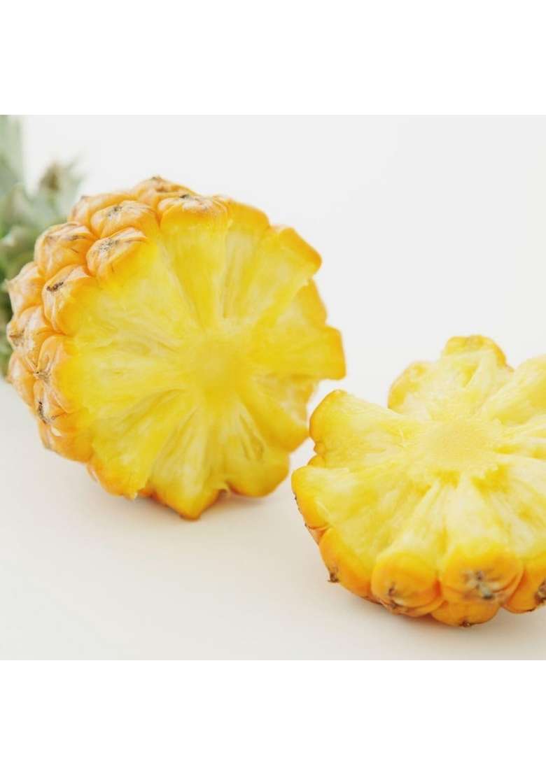 Nottacia Iff Bush Delicious Pineapple Flavour No 1 � 500Ml Food Grade Essence For Cakes Ice Creams Desserts Confectionery Beverages Baking Savory Recipes - Indya
