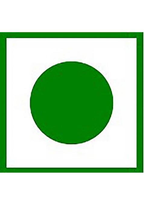 Tummyfriendly Foods Ragi Millet Cookies-Peanut Butter. Healthy Biscuits For Kids, Babies & Adults Cookies Biscuit (3 X 75 G)