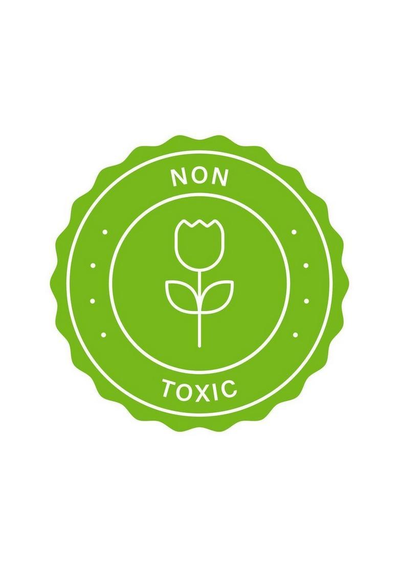 Open Secret Celebration Gift Box: 12 Assorted Nutty Cookies With Chocolate & Dryfruits Biscuit (150 G)