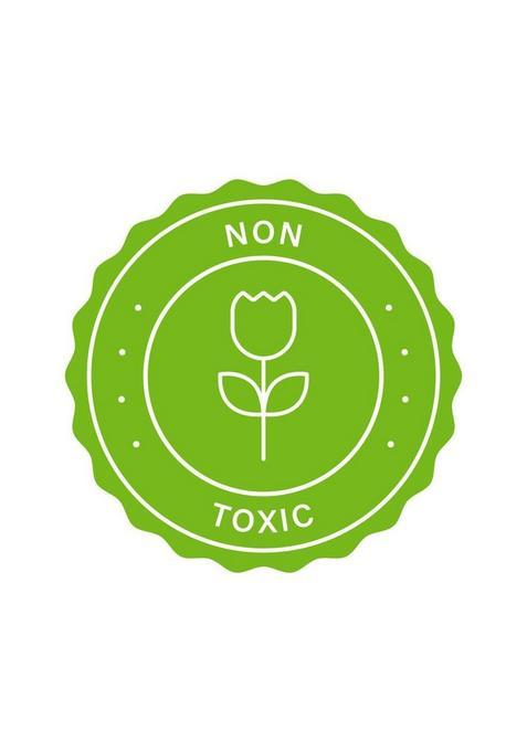 Open Secret Celebration Gift Box: 12 Assorted Nutty Cookies With Chocolate & Dryfruits Biscuit (150 G)