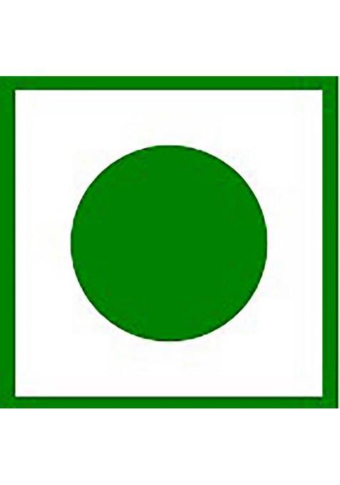 Tummyfriendly Foods Ragi Millet Cookies-Chocolate . Healthy Biscuits For Kids, Babies & Adults Cookies Biscuit (2 X 75 G)