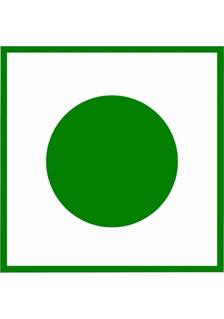 Singla'S Choco Chips Cookies 400Gsm| Biscuits Biscuit (400 G)