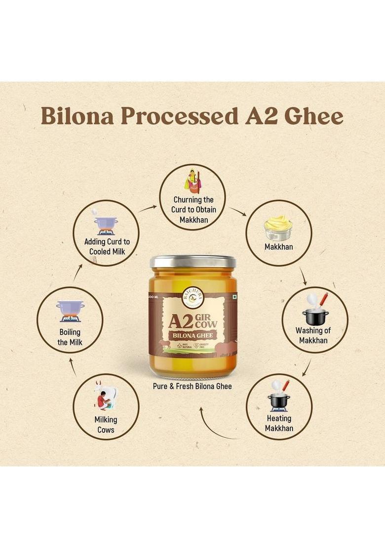 Raichura Organic Farm 500 Ml 100% Natural Pure A2 Gir Cow Ghee, Chemical-Free, Ghee Glass Bottle (500 Ml)