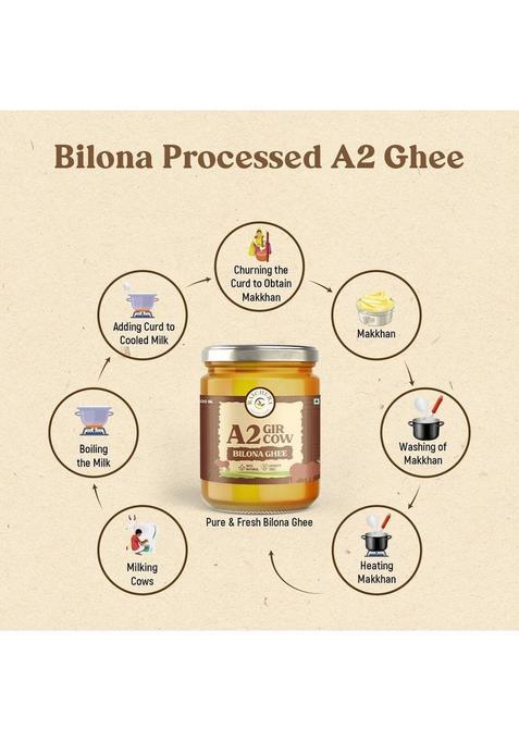 Raichura Organic Farm 500 Ml 100% Natural Pure A2 Gir Cow Ghee, Chemical-Free, Ghee Glass Bottle (500 Ml)