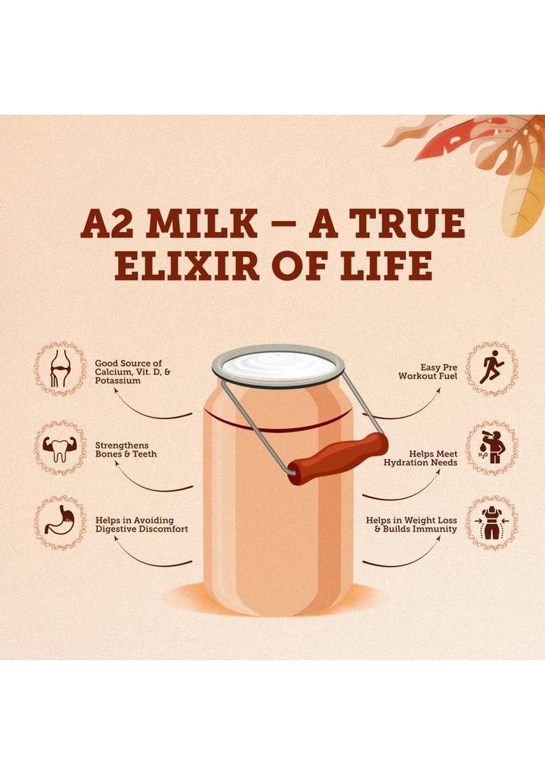 House Of Veda Gir Cow Desi Ghee Glass Bottle (500 G)