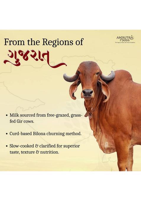 Amrutra Foods A2 Gir Cow Ghee|Traditional Bilona Method |Pure,Natural & Healthy Ghee Glass Bottle (500 Ml, Pack Of 2)