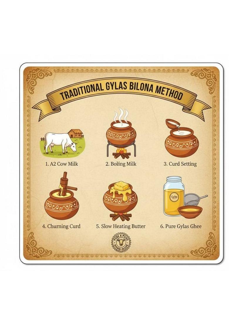 Gylas 100% A2 Cultured Cow Ghee Made From Curd Pack Of 500Ml Box (500 Ml)