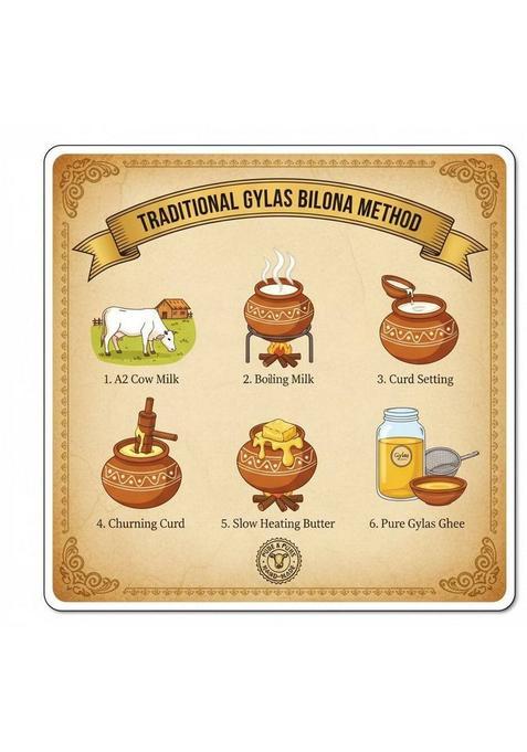 Gylas 100% A2 Cultured Cow Ghee Made From Curd Pack Of 500Ml Box (500 Ml)