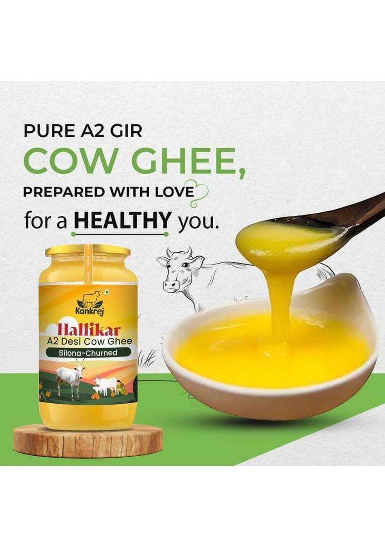 Kankrej A2 Desi Hallikar Cow Ghee | Vedic Bilona Method 100% Pure Glass Bottle (500 Ml) - Indya