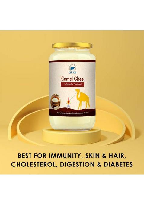 Go Fresho Desi Camel Ghee|Promotes Brain Health, Strong Immunity And Digestion Ghee Glass Bottle (250 Ml)