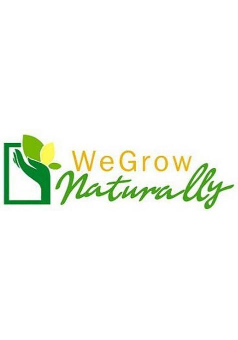 Wegrow Naturally Cold Pressed Groundnut Oil (500 Ml) We Grow Glass Bottle