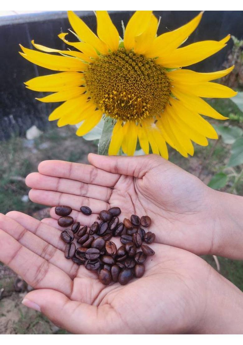 Empress Farms Whole Roasted Coffee Beans 100% Arabica I Medium-Dark Roast Premium 'Aaa' Grade Coffee Beans (200 G)