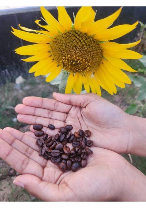 Empress Farms Whole Roasted Coffee Beans 100% Arabica I Medium-Dark Roast Premium 'Aaa' Grade Coffee Beans (200 G)