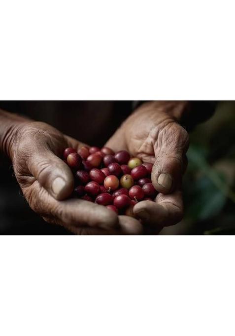 Mr. South Filter Coffee Liquid Decoction Instant Coffee (5 X 100 Ml, Green Coffee Flavoured)