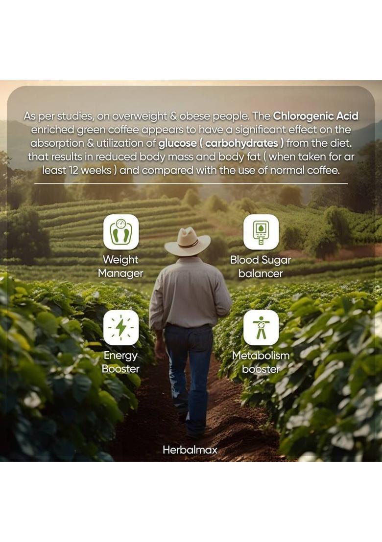 Herbal Max Organic Green Coffee Beans Powder For Weight Loss Management | Instant Coffee Instant Coffee (5 X 100 G)