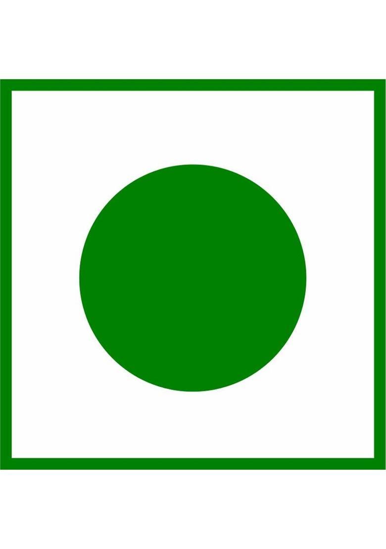 Nescafe Original Extraforte 100% Cafe Coffee Instant Coffee (100 G) Instant Coffee (100 G)