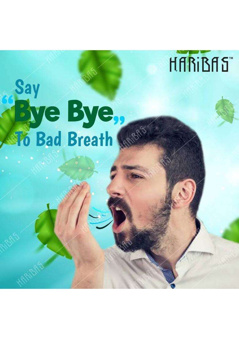 Haribas Combo Pack Of 2 Madrasi Peppermint Mukhwas 200Gm ( White Madrasi Saunf ) And Green Mukhwas 200G | Pure And Premium Mukhwas Mouth Freshener | Good For Bad Breath, Health & Digestion | Sweet Mouth Freshener 400G (200G + 200G) Sweet Mouth Freshener S - Indya