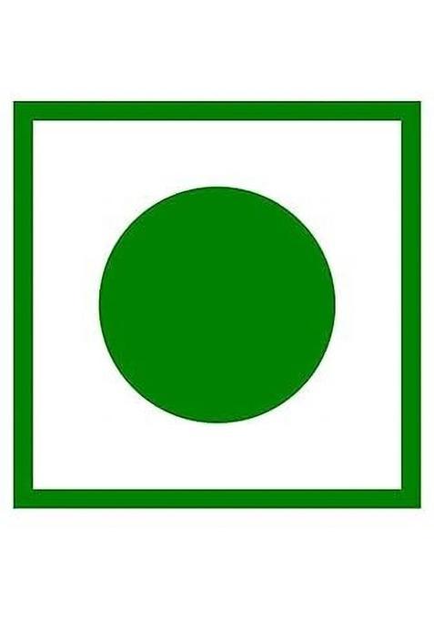 Gotrey Mutli Colorful Saunf Mukhwas Sugar Coated Sweet Fennel Seed 300 Gm Saunf Mouth Freshener (300 G)