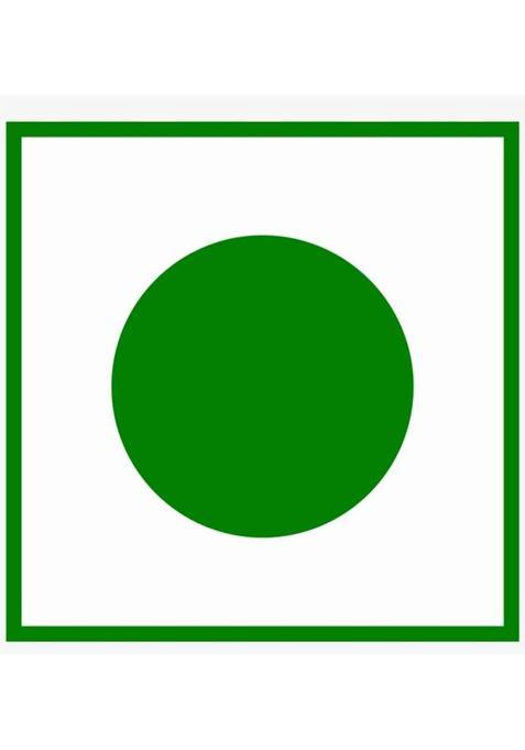 Royal Foodery Green Paan Mukhwas / Culcatta Meetha Paan / Sweet Gulkand Pan Mukhvas 250Gram Paan Mouth Freshener (250 G)