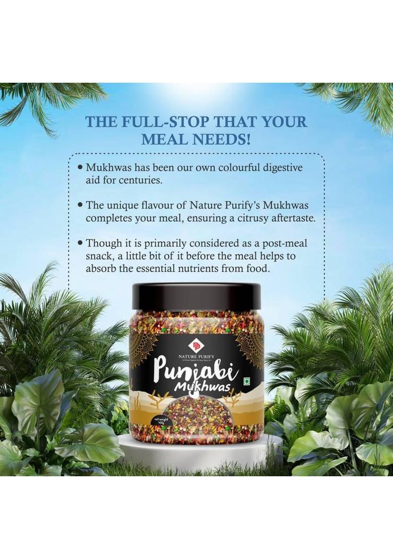 Nature Purify Punjabi Mukhwas, [Mouth Freshener, Digestive,} [Jar Pack] Punjabi Mukhwas Mouth Freshener (400 G)
