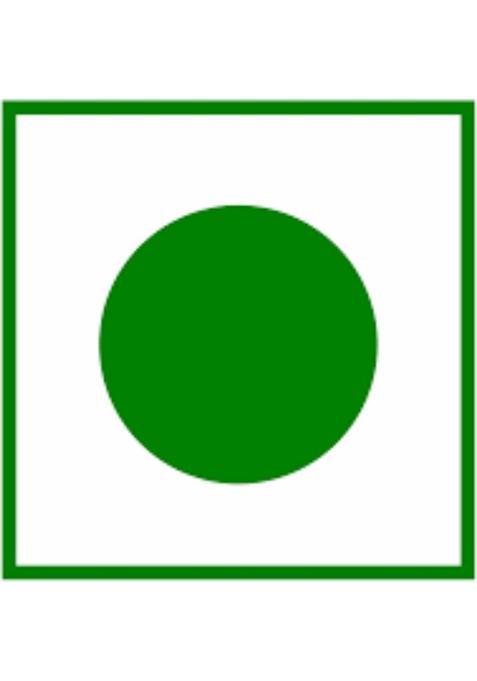 Freshana Green Madrasi Peppermint Saunf Mukhwas Pure And Premium Mouth Freshener Mint Mouth Freshener (2 X 200 G)