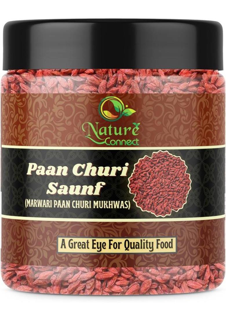 Nature Connect Paan Churi Mukwas | Home Made Mouth Freshener|Digestive, After-Meal Paan Churi Mukhwas Mouth Freshener (400 G)
