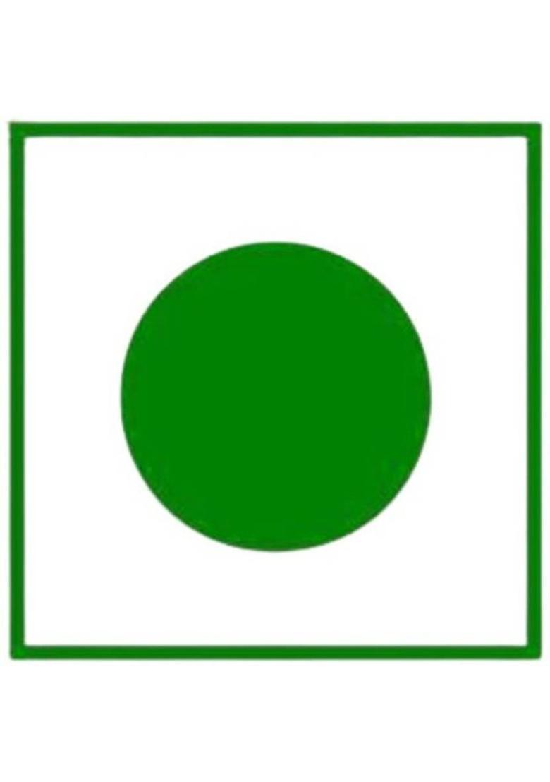 Organic Nature Homemade Paan Churi Mukhwas 250G Mouth Freshener (Jar Pack) Mukhwas Mouth Freshener (250 G)