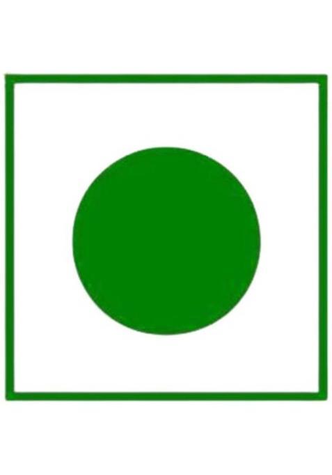 Organic Nature Homemade Paan Churi Mukhwas 250G Mouth Freshener (Jar Pack) Mukhwas Mouth Freshener (250 G)